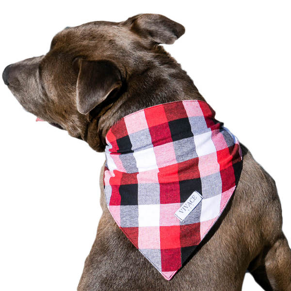 Bandana Kit 10 PP - Imagem 2